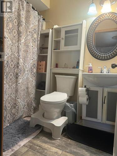 24 Woodhouse Avenue, Norfolk, ON - Indoor Photo Showing Bathroom