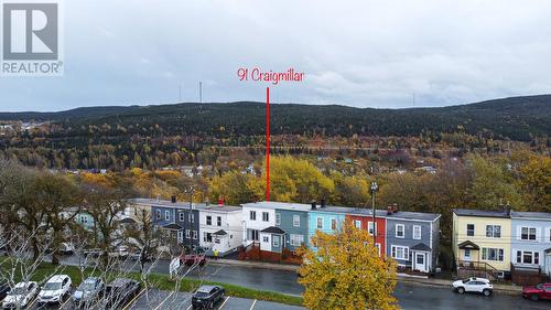 91 Craigmillar Avenue, St. John'S, NL - Outdoor With View