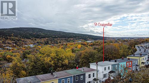 91 Craigmillar Avenue, St. John'S, NL - Outdoor With View