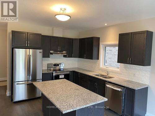 38 Fenside Street, Kitchener, ON - Indoor Photo Showing Kitchen With Stainless Steel Kitchen With Double Sink With Upgraded Kitchen