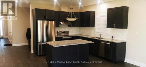 38 Fenside Street, Kitchener, ON - Indoor Photo Showing Kitchen With Stainless Steel Kitchen With Upgraded Kitchen