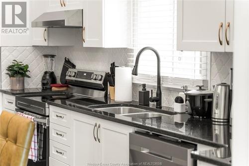 13028 Tecumseh Road East, Tecumseh, ON - Indoor Photo Showing Kitchen With Double Sink With Upgraded Kitchen