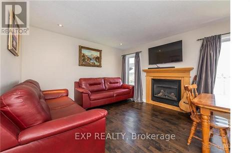 113 Glendore Street, Ottawa, ON - Indoor Photo Showing Living Room With Fireplace