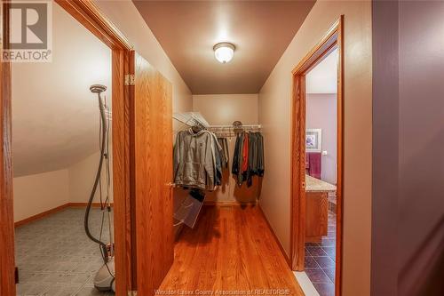 1932 Hebert Street, Tecumseh, ON - Indoor With Storage