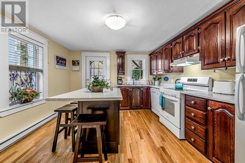 83 Kings Road, St. John'S, NL - Indoor Photo Showing Kitchen