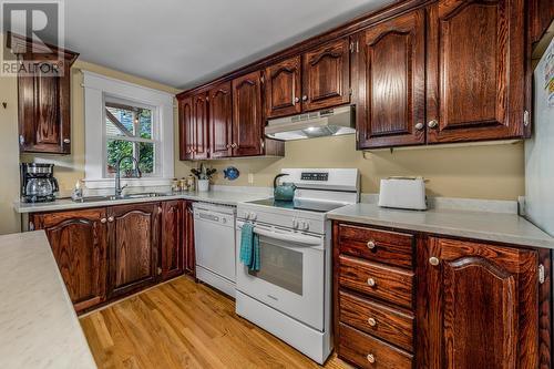 83 Kings Road, St. John'S, NL - Indoor Photo Showing Kitchen With Double Sink