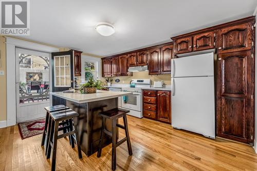 83 Kings Road, St. John'S, NL - Indoor Photo Showing Kitchen