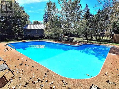 4138 19Th Avenue, Markham, ON - Outdoor With In Ground Pool With Backyard