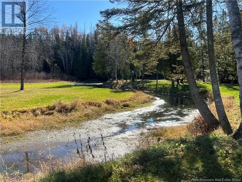 30 Ch Camp, Dsl De Drummond/Dsl Of Drummond, NB - Outdoor With View