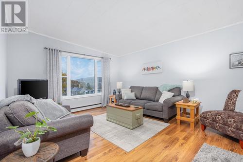 11 Pleasantville Avenue, St. John'S, NL - Indoor Photo Showing Living Room