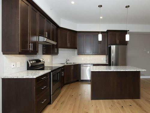 214 200 Oasis Lane N, Thunder Bay, ON - Indoor Photo Showing Kitchen With Double Sink With Upgraded Kitchen