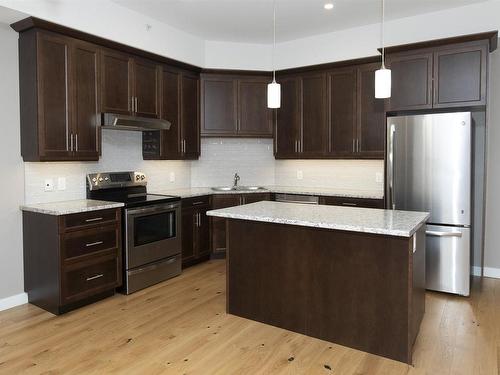 214 200 Oasis Lane N, Thunder Bay, ON - Indoor Photo Showing Kitchen With Upgraded Kitchen