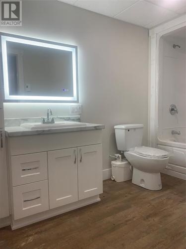 66 Main Street, Embree, NL - Indoor Photo Showing Bathroom