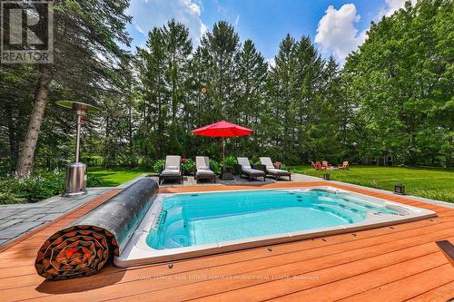 499 Carlisle Road, Hamilton, ON - Outdoor With Backyard