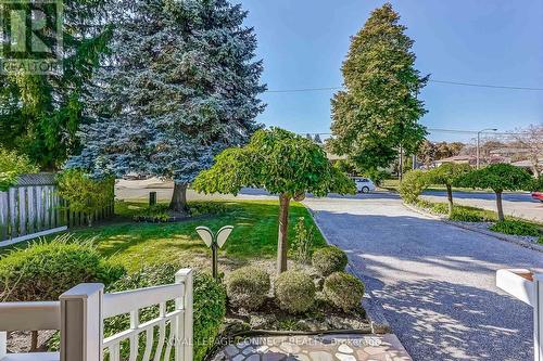 3 Aragon Avenue, Toronto, ON - Outdoor