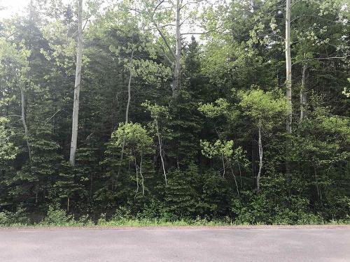 Lot 2022-2 Corrigan Road, Tenmile House, PE 