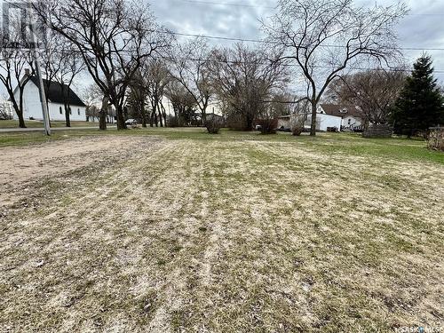 302 2Nd Avenue E, Buchanan, SK - Outdoor