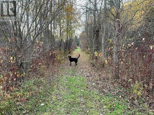 103014 10 Side Road, East Garafraxa, ON - Outdoor