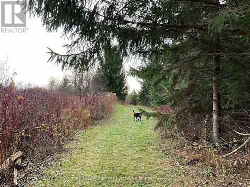 103014 10 Side Road, East Garafraxa, ON - Outdoor With View