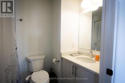 302 - 19 Guelph Avenue, Cambridge, ON - Indoor Photo Showing Bathroom