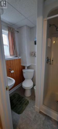 8 Main Street, St. Lunaire-Griquet, NL - Indoor Photo Showing Bathroom