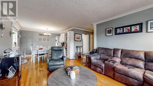 70 Boyle Street, St. John'S, NL - Indoor Photo Showing Living Room