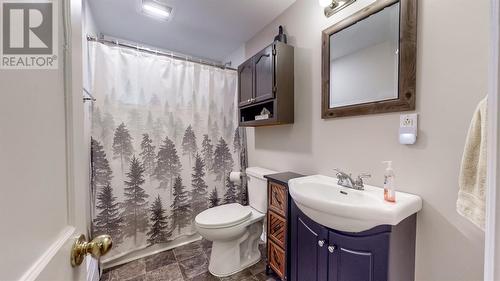 70 Boyle Street, St. John'S, NL - Indoor Photo Showing Bathroom