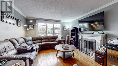 70 Boyle Street, St. John'S, NL - Indoor Photo Showing Living Room With Fireplace