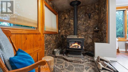 2066 Villa Nova Road, Norfolk, ON - Indoor With Fireplace