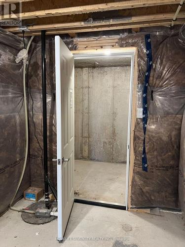 178 Seeley Avenue, Southgate, ON - Indoor Photo Showing Basement