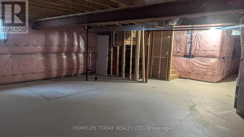 270 Sweet Gale Street, Waterloo, ON - Indoor Photo Showing Basement