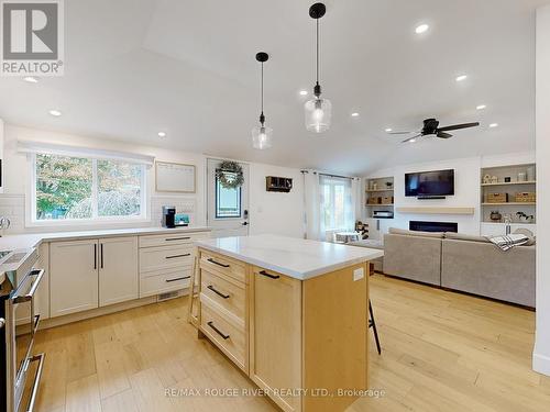 59 Oak Avenue, East Gwillimbury, ON - Indoor Photo Showing Kitchen