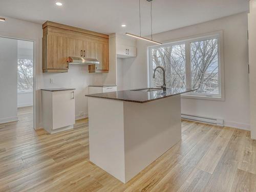 Kitchen - 4-90 Rue Alexandre, Lachute, QC - Indoor Photo Showing Kitchen