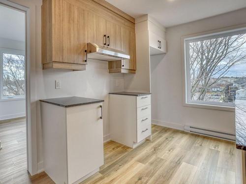 Kitchen - 4-90 Rue Alexandre, Lachute, QC - Indoor Photo Showing Kitchen