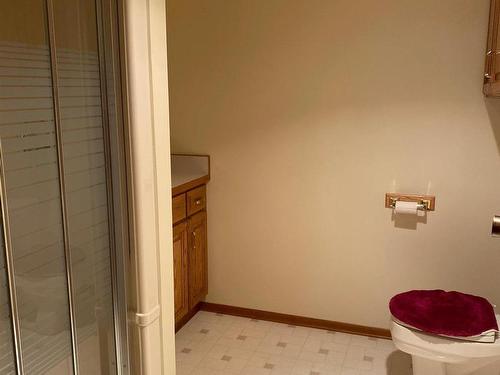 860 Balsam Street, Thunder Bay, ON - Indoor Photo Showing Bathroom