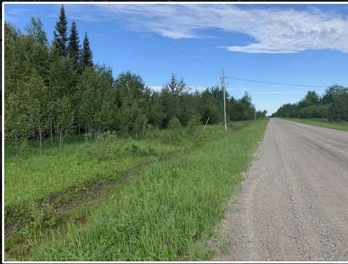 37.6 Acres Ne 1/4 Lot 5 Con 3, Lamrache Township, ON 