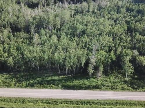 37.6 Acres Ne 1/4 Lot 5 Con 3, Lamrache Township, ON 