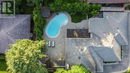 81 Sir Williams Lane, Toronto, ON - Outdoor With In Ground Pool