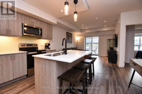 315 - 16 Markle Crescent, Hamilton, ON - Indoor Photo Showing Kitchen With Stainless Steel Kitchen With Double Sink With Upgraded Kitchen