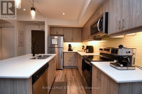 315 - 16 Markle Crescent, Hamilton, ON - Indoor Photo Showing Kitchen With Stainless Steel Kitchen With Double Sink