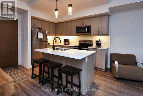 315 - 16 Markle Crescent, Hamilton, ON - Indoor Photo Showing Kitchen With Stainless Steel Kitchen With Double Sink