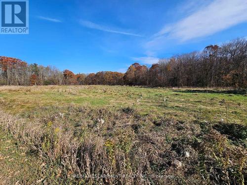 5127 Milburough Line, Burlington, ON - Outdoor With View