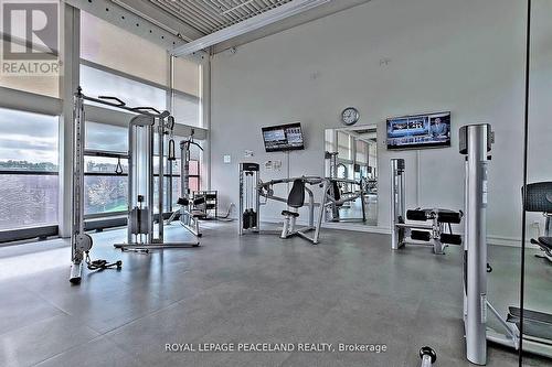 1008 - 29 Singer Court, Toronto, ON - Indoor Photo Showing Gym Room