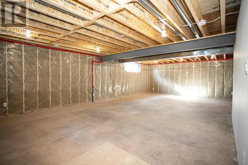 24 Noah Dr, Sault Ste. Marie, ON - Indoor Photo Showing Basement