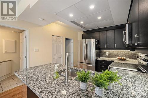 309 - 134 York Street, Ottawa, ON - Indoor Photo Showing Kitchen With Upgraded Kitchen