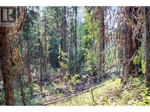 Prop Lot 6 Brown Road, Bridge Lake, BC 