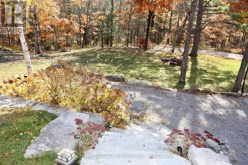 2331 Lakeside Road, Douro-Dummer, ON - Outdoor With View