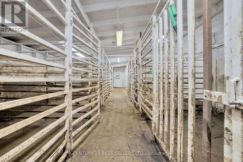 4049 Bonneau Line, Chatham-Kent, ON 