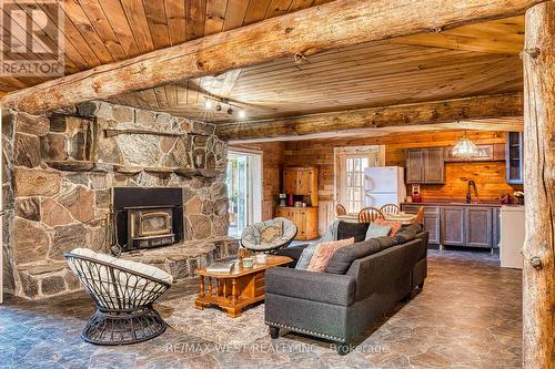 622423 Sideroad 7, Chatsworth, ON - Indoor Photo Showing Living Room With Fireplace