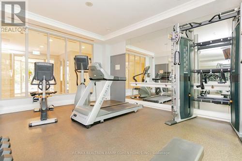 815 - 28 William Carson Crescent, Toronto, ON - Indoor Photo Showing Gym Room